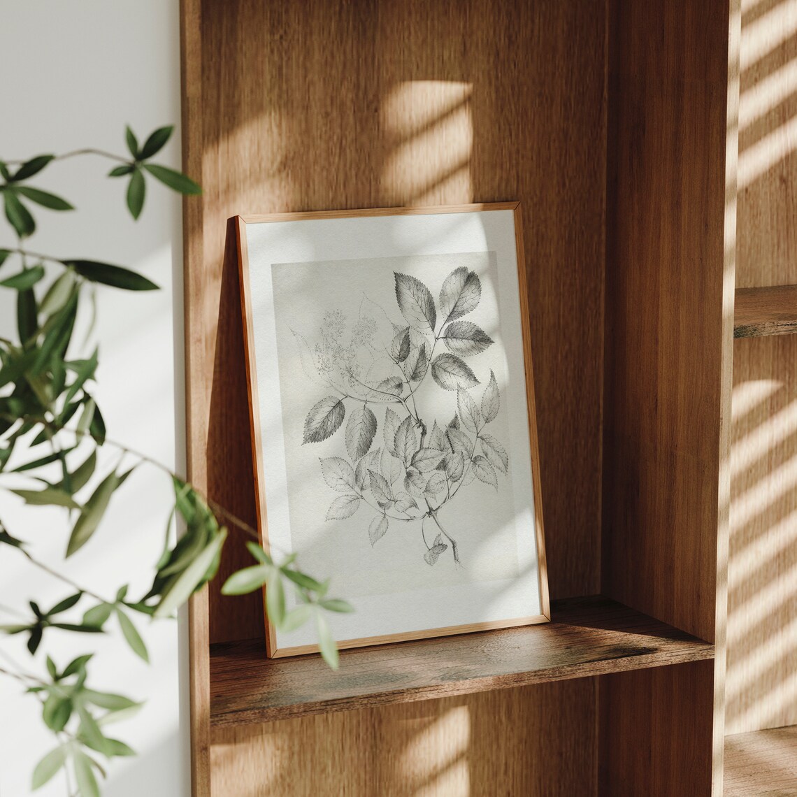 Vintage Black and White Botanical Drawing Art Print - Image 4