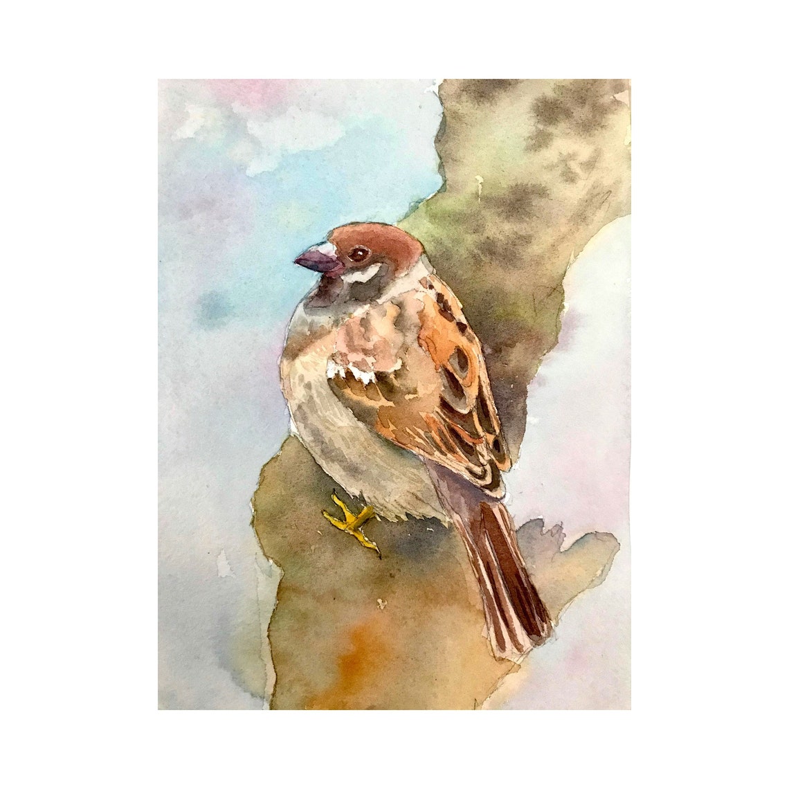 House Sparrow Perched on Branch Watercolor Garden Bird Poster