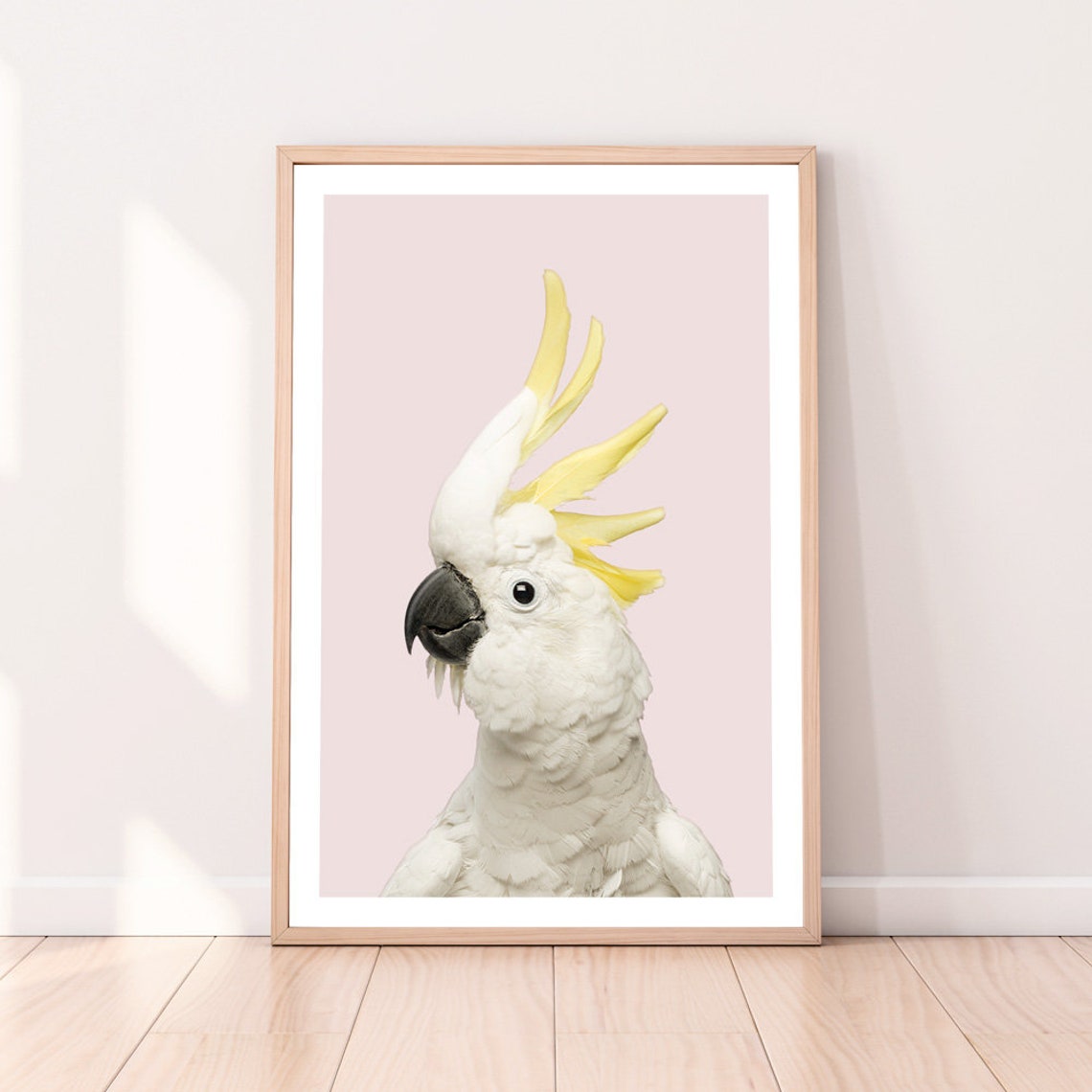 Sulphur Crested Cockatoo Portrait On Soft Pink Background Bird Poster
