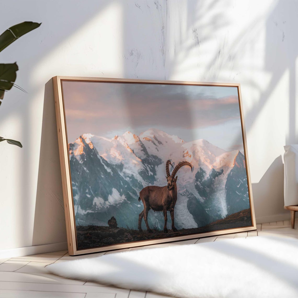 Alpine Ibex with Curved Horns Before Snowy Peaks at Sunrise Poster - Image 3