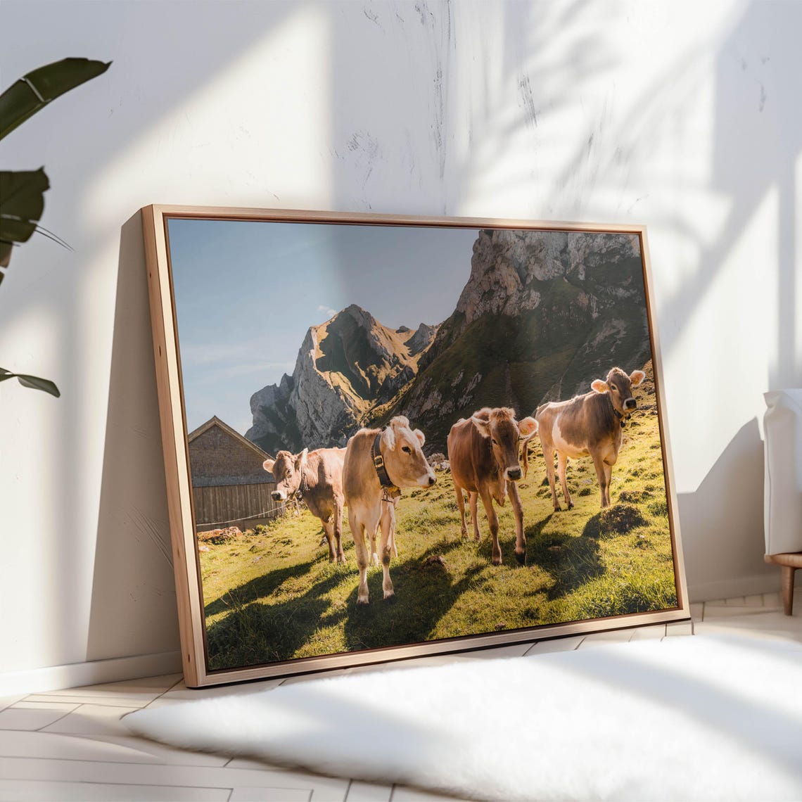 Brown Cows in a Sunny Alpine Meadow with Mountain Views Poster - Image 3