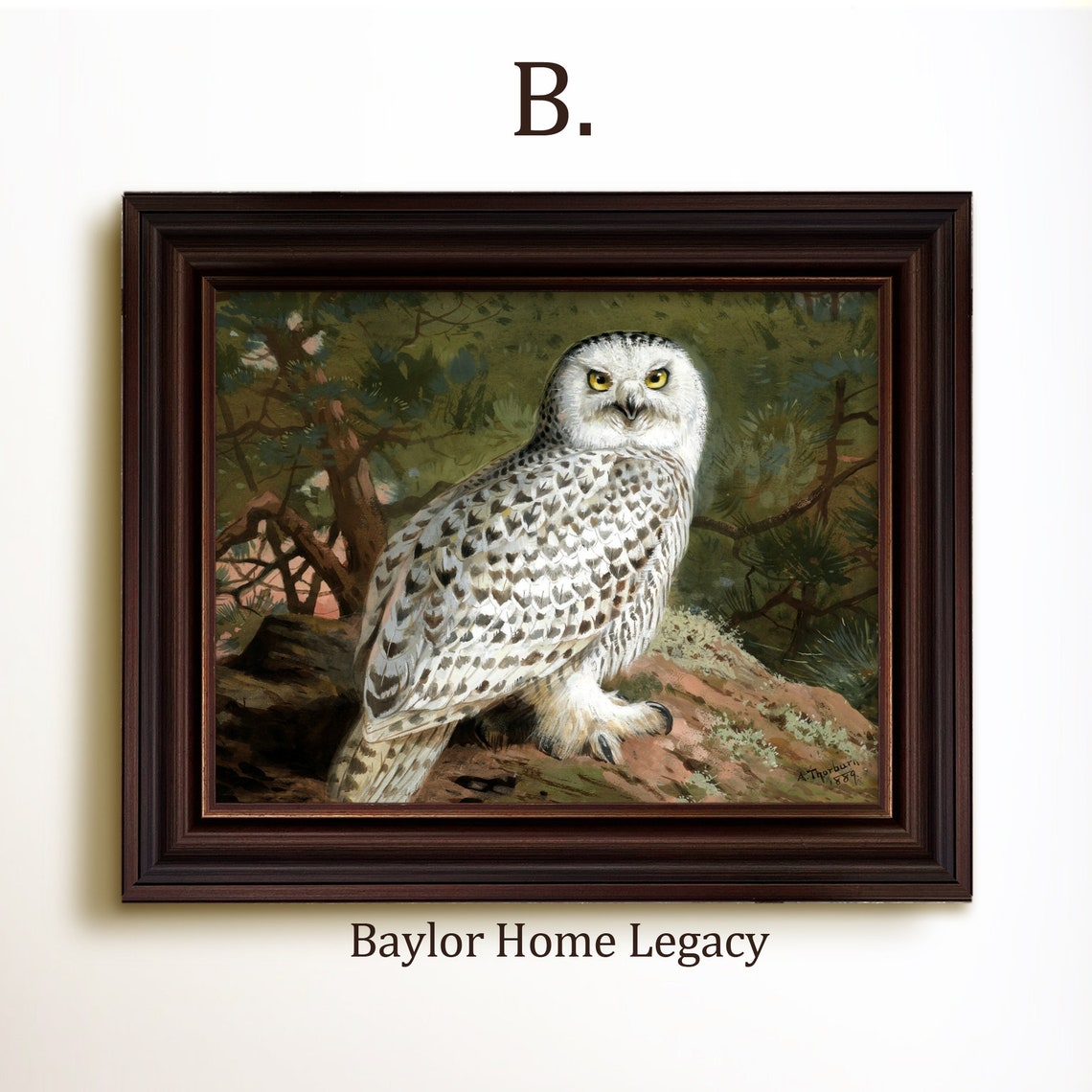 Snowy Owl Perched on Rocky Branch Vintage Bird Wildlife Art Poster - Image 4