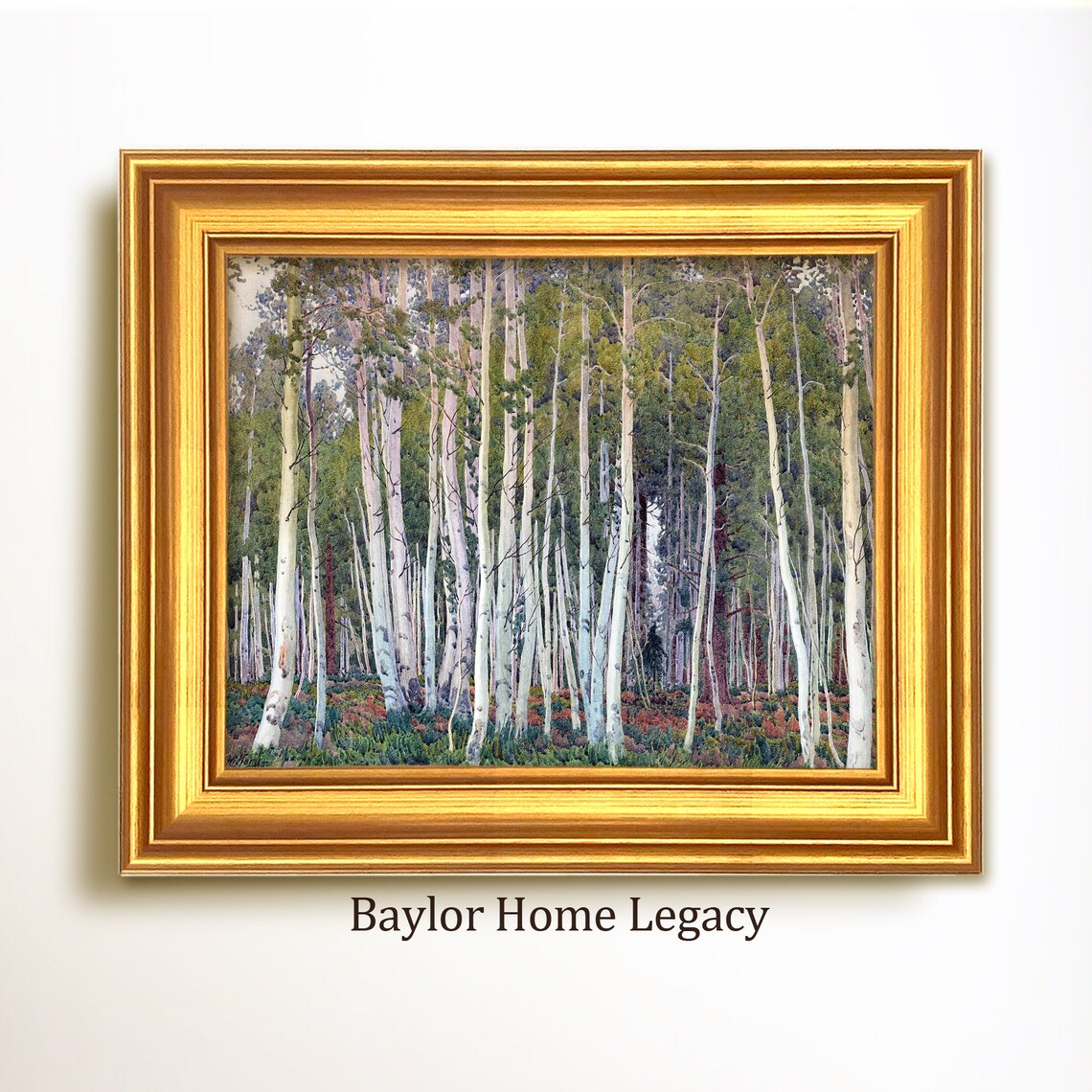 Tall White Aspen Trees Forest Watercolor Woodland Nature Scene Poster
