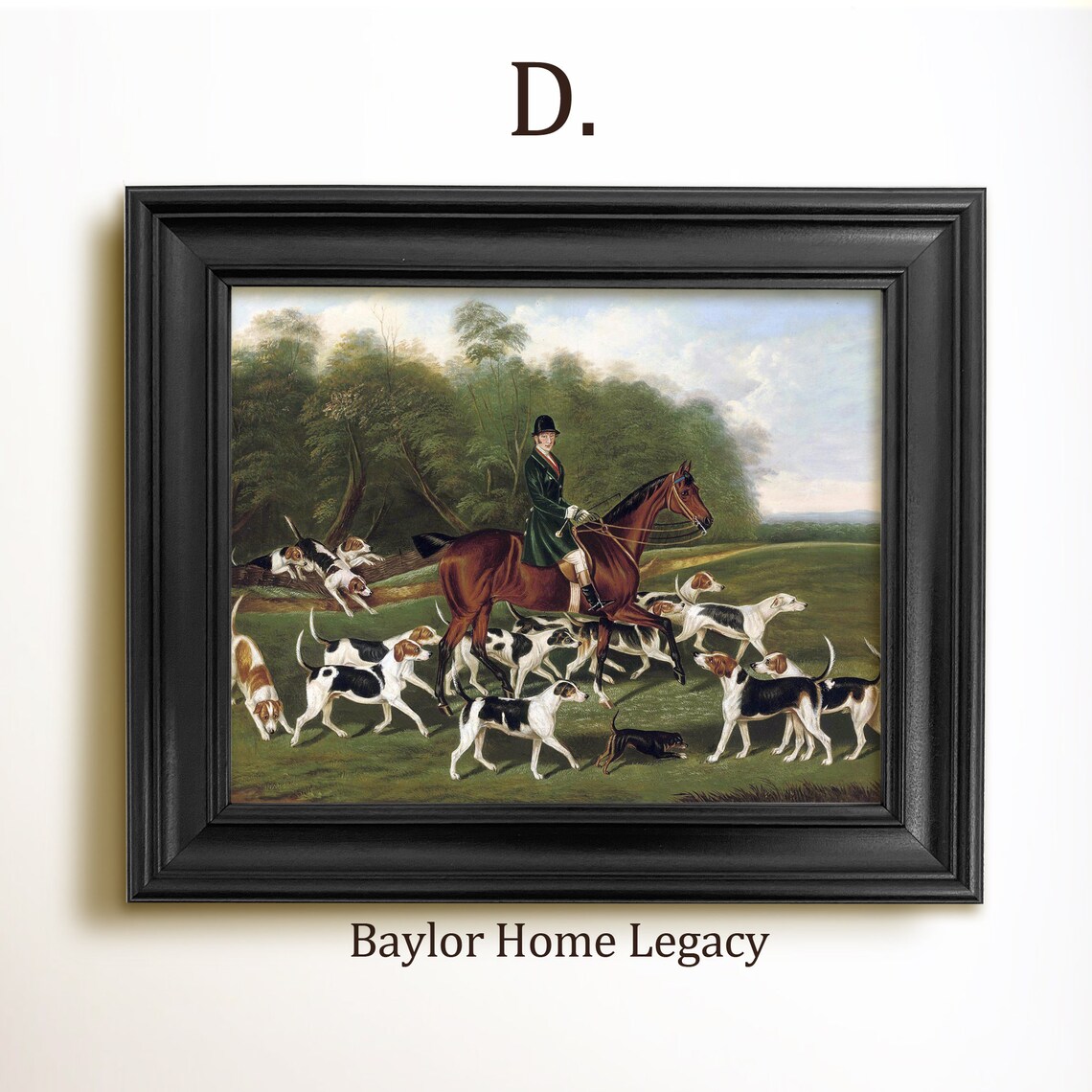 Fox Hunting Scene with Foxhounds, Equestrian Art Print - Image 2