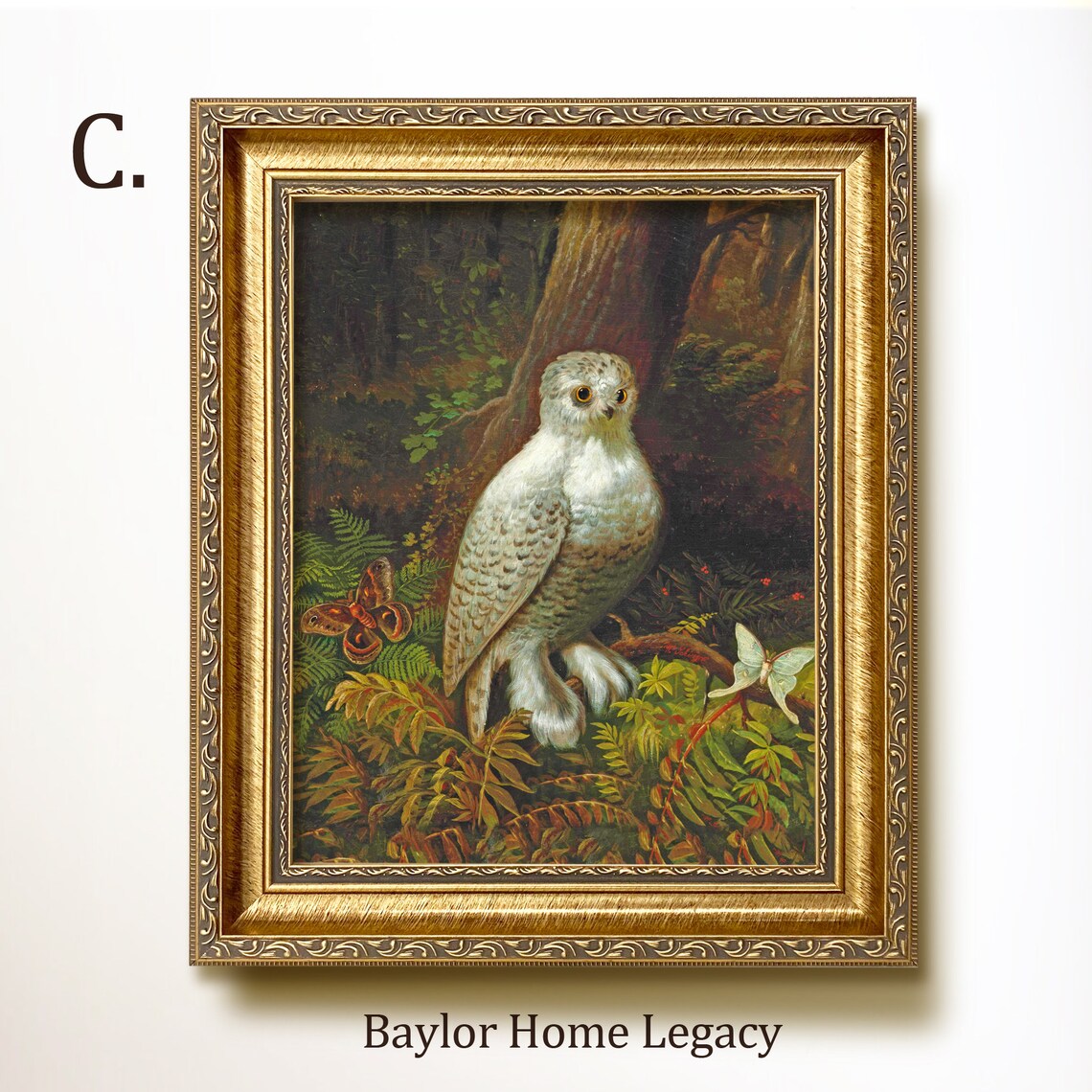 Snowy Owl With Moths In Dark Forest Vintage Bird Painting Art Print - Image 3