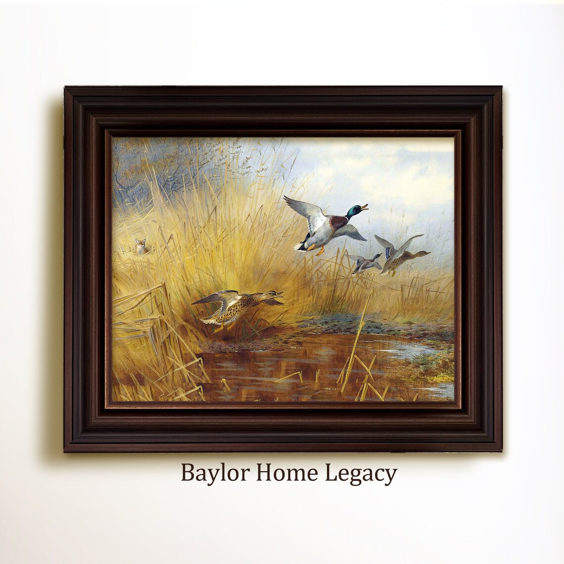 Mallard Ducks And Fox Vintage Wildlife Art Print