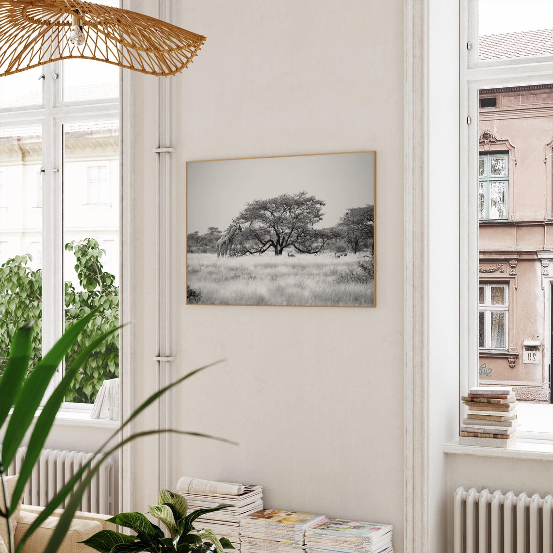 Somalia Giraffe Under Acacia Tree Savanna Black and White Poster - Image 3
