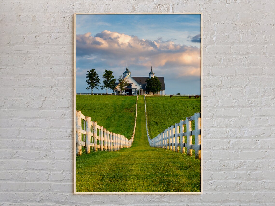 Kentucky Bluegrass Horse Farm Sunset White Fence Photo Poster