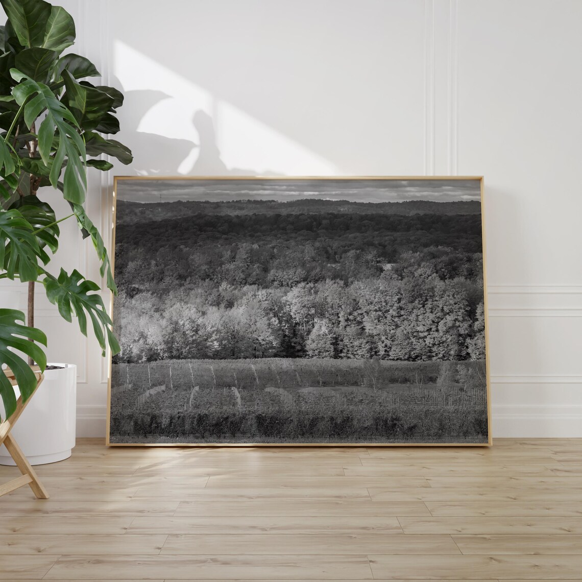 Traverse City Rolling Vineyard Hills Black and White Wine Country Poster - Image 2
