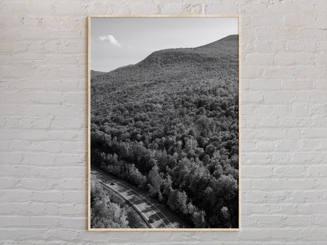 Catskill Mountains Forest Aerial Black And White Photo Poster