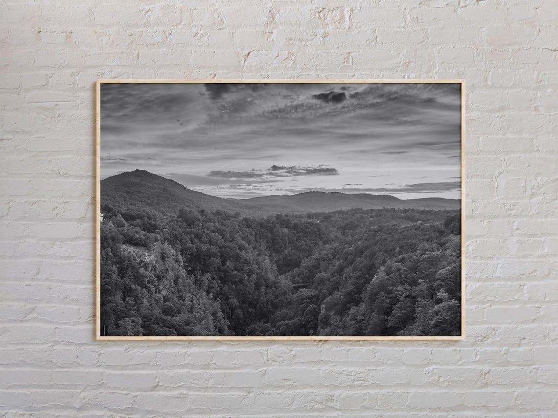 Georgia Forest Mountain Ridges at Dusk Black and White Poster