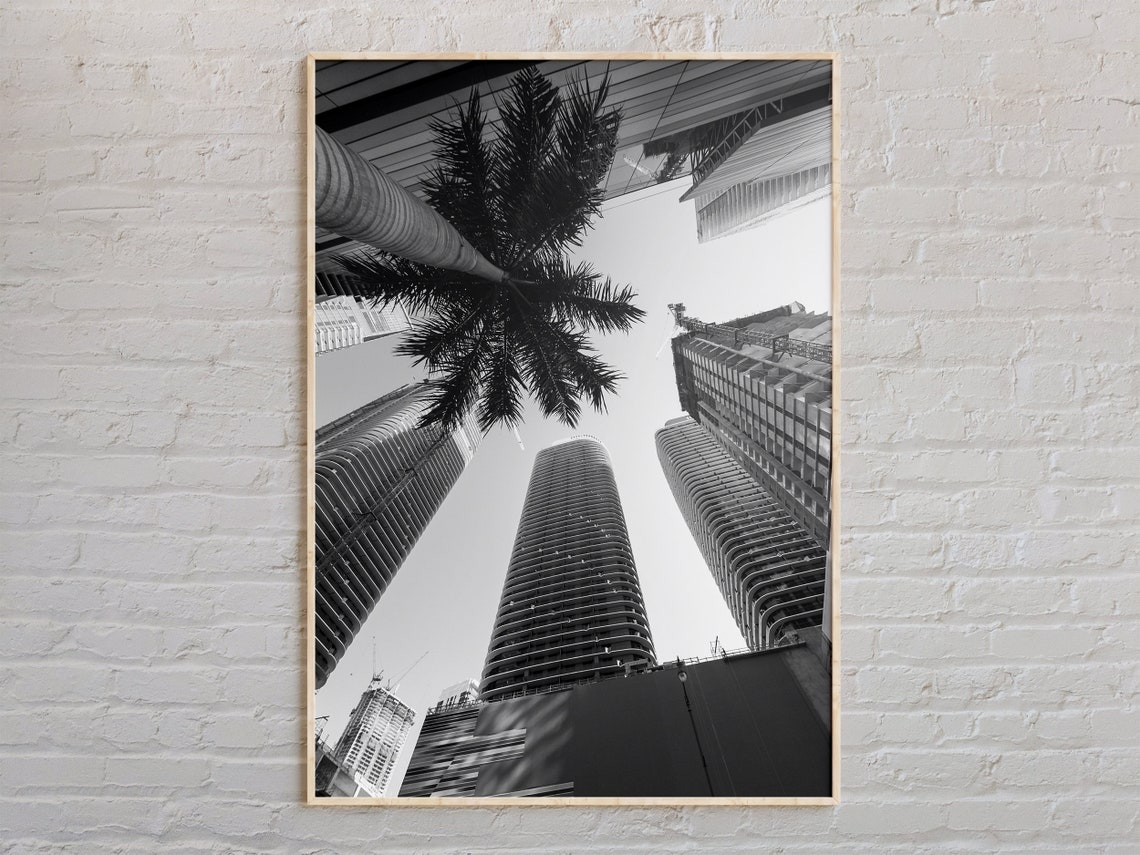 Miami Skyscrapers and Palm Black and White City Photo Poster