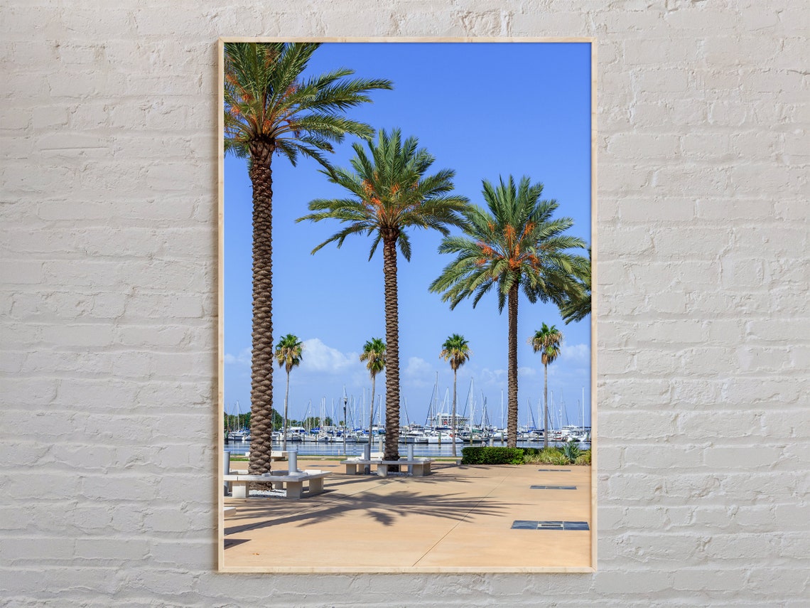 St Petersburg Florida Palm Trees Marina Sunny Waterfront View Poster