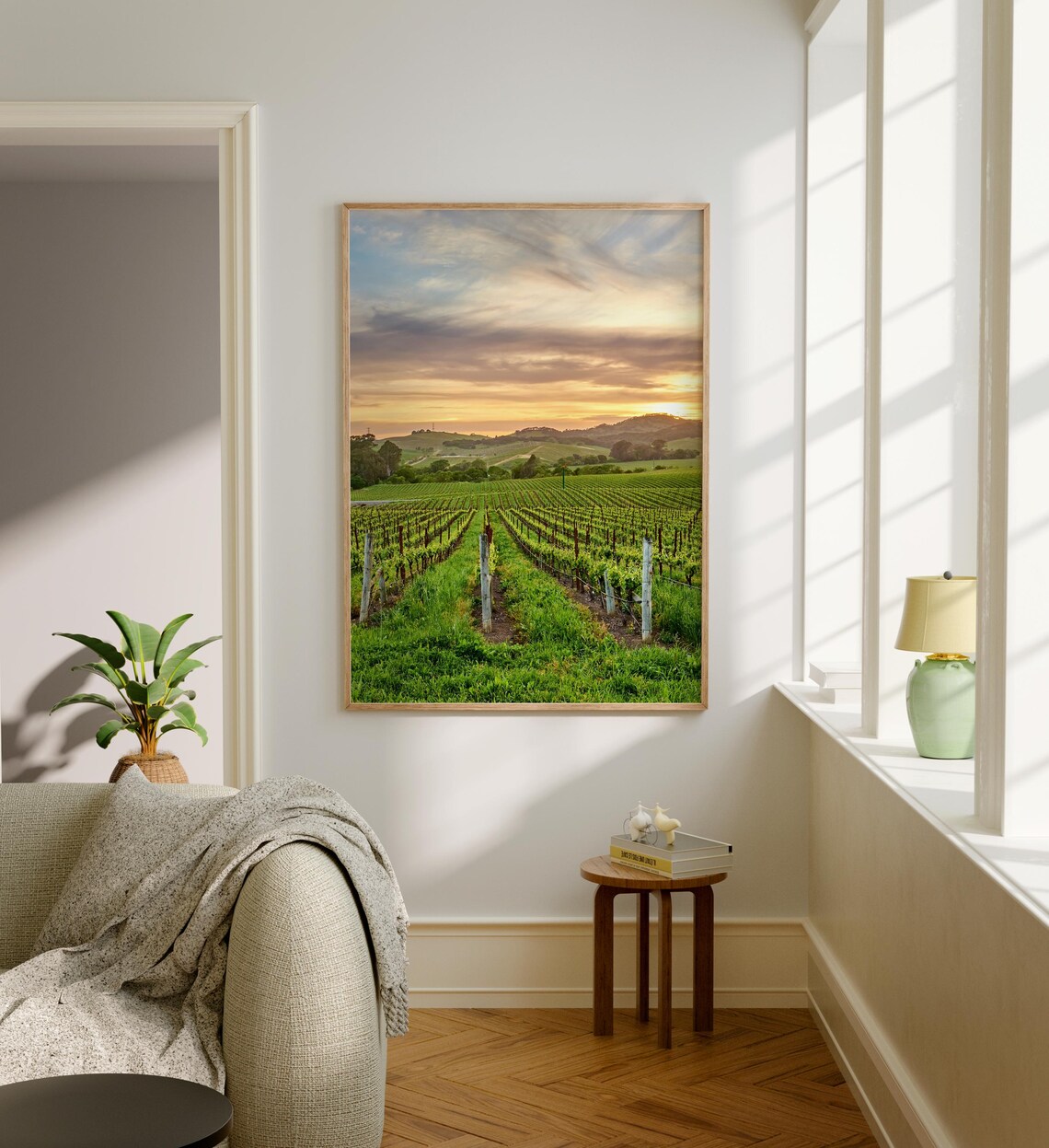 Napa Valley California Vineyard Rows At Golden Hour Sunset Poster - Image 5