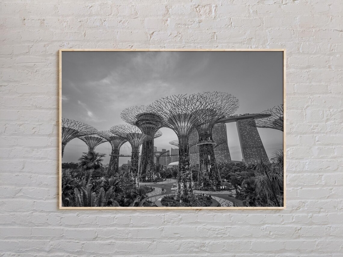 Singapore Supertree Grove Gardens By Bay Mono Landscape Poster