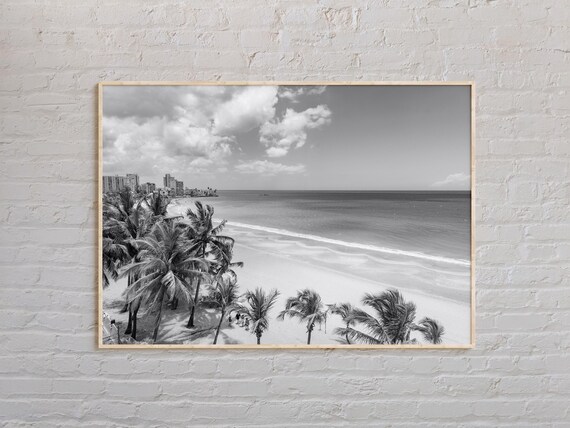 Puerto Rico Palm Beach Black And White Tropical Photo Poster