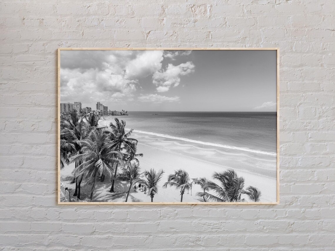 Puerto Rico Palm Beach Black And White Tropical Photo Poster