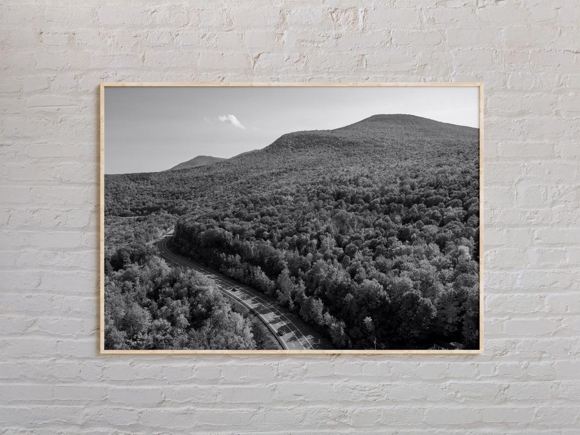 Catskill Mountains Forest and Winding Road Black and White Poster