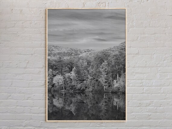 Black And White Forest Lake Mirror Reflection Landscape Poster