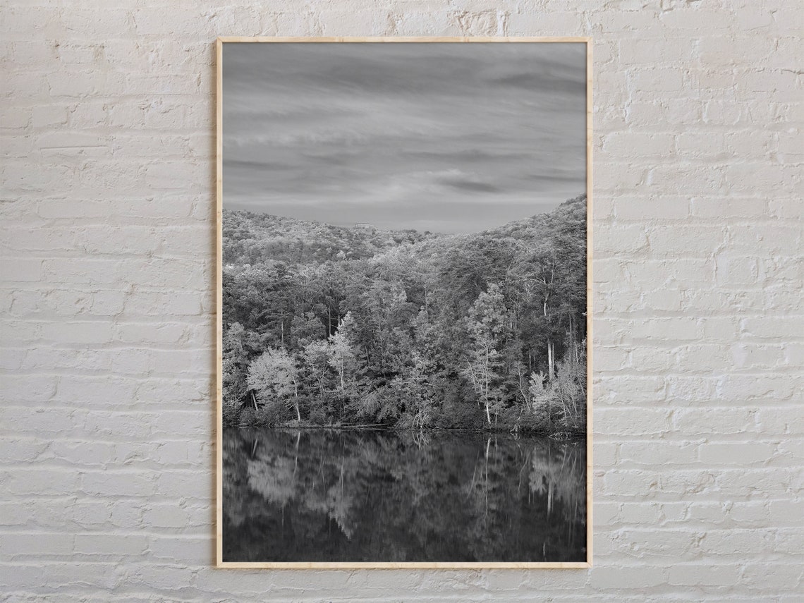 Black And White Forest Lake Mirror Reflection Landscape Poster