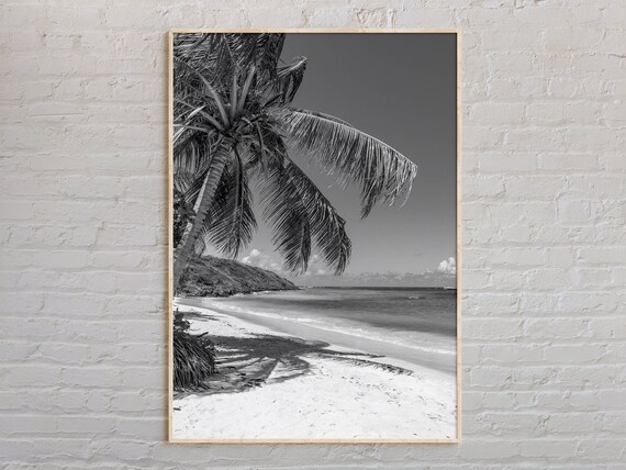 Tropical Leaning Palm Tree Beach Black And White Ocean Photo Poster