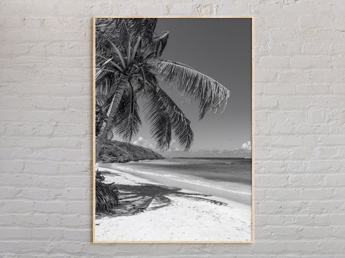 Black And White The Bahamas Print Art Poster Photo Decor
