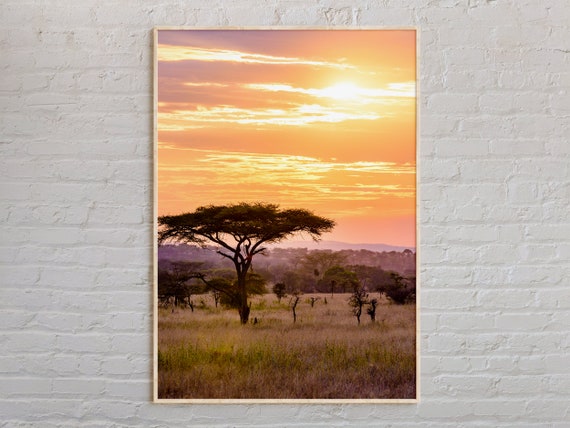 Real Photo Africa Print Wall Art Poster Decor World