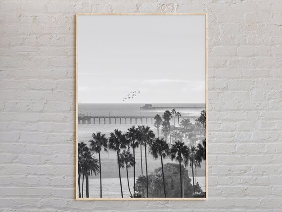 Orange County California Beach Palms Pier Poster Black And White Coast Photo