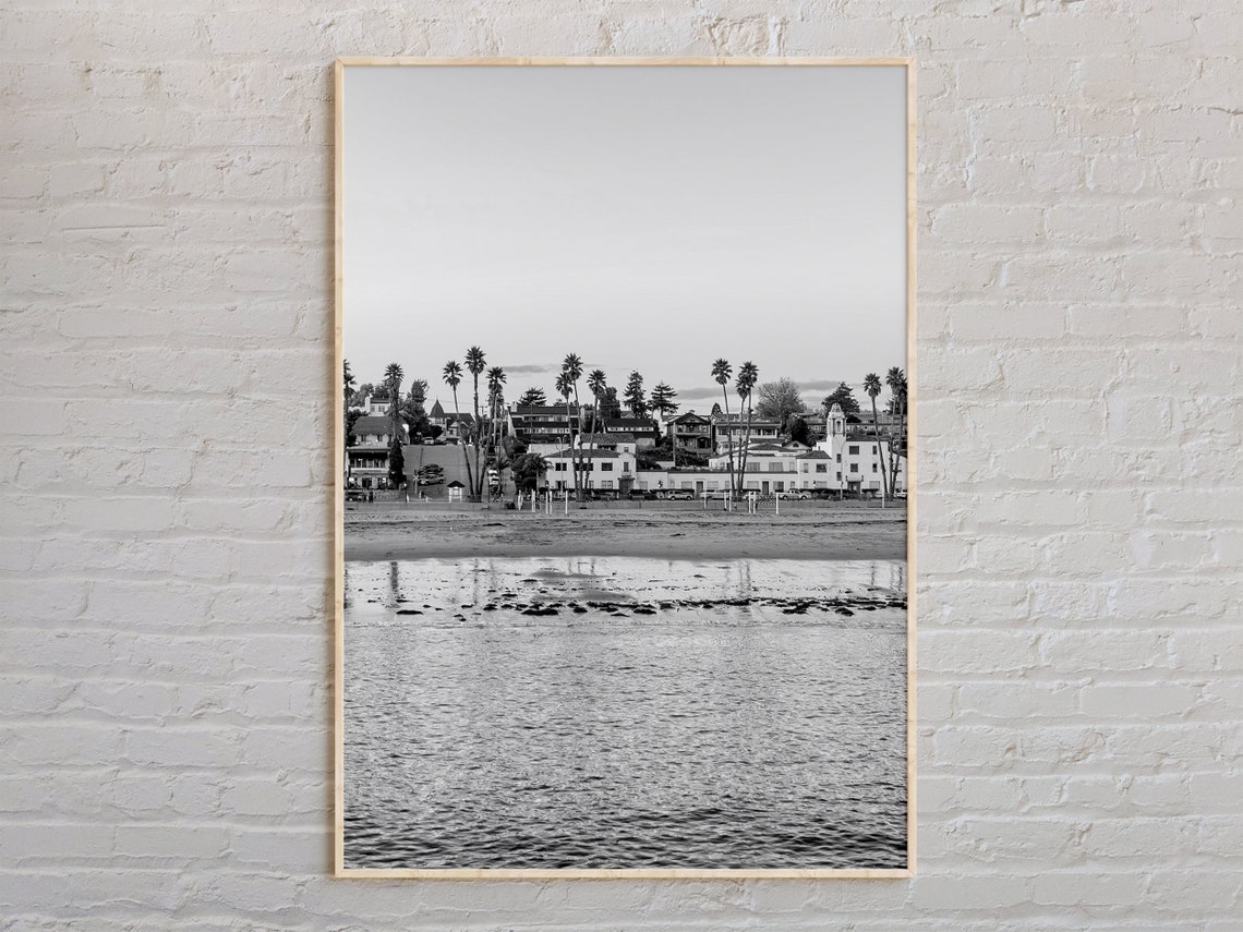 Santa Cruz Beach Palm Trees Black and White Coastal Photo Poster