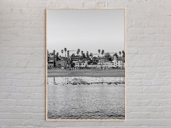 Santa Cruz Beach Palm Trees Black and White Coastal Photo Poster
