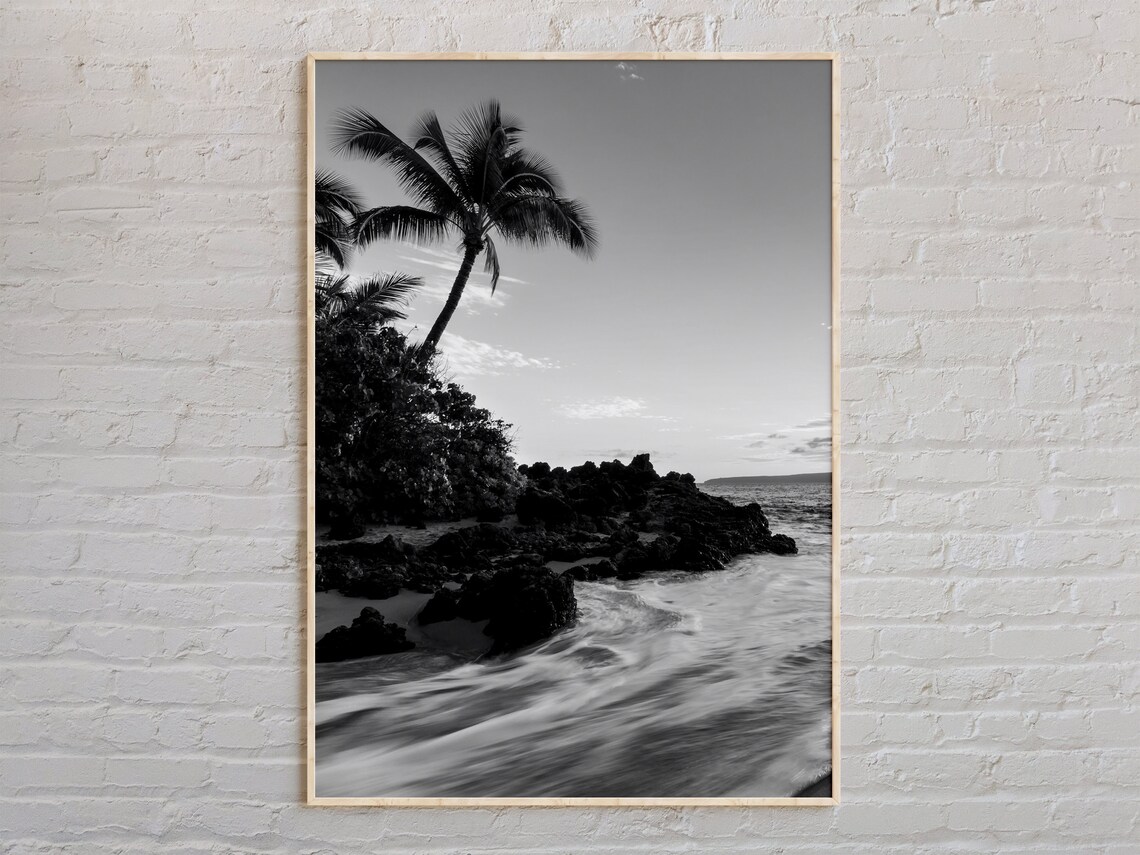 Hawaii Palm Tree Rocky Beach Black And White Photography Poster