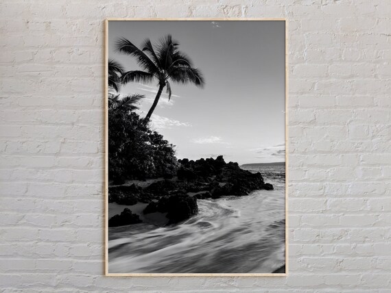 Hawaii Palm Tree Rocky Beach Black And White Photography Poster