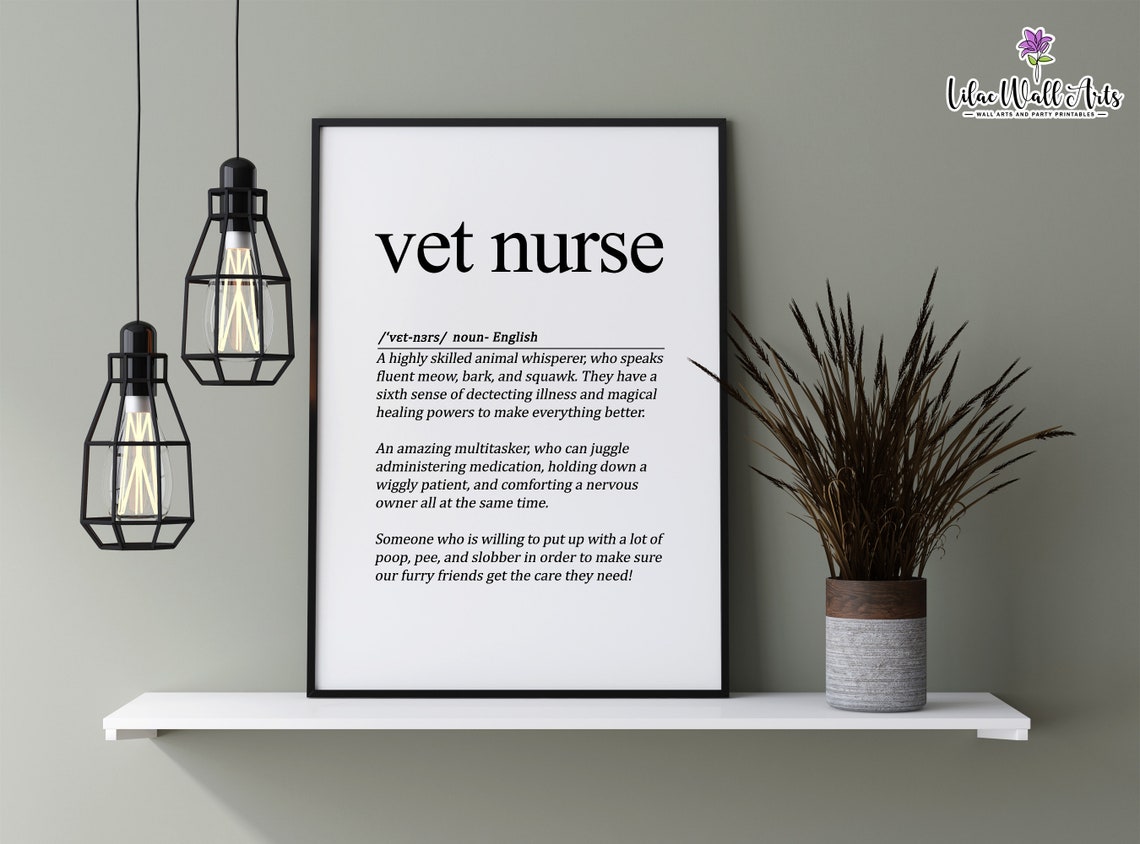 Vet Nurse Definition Frame Art Veterinary Nurse Appreciation Poster - Image 2