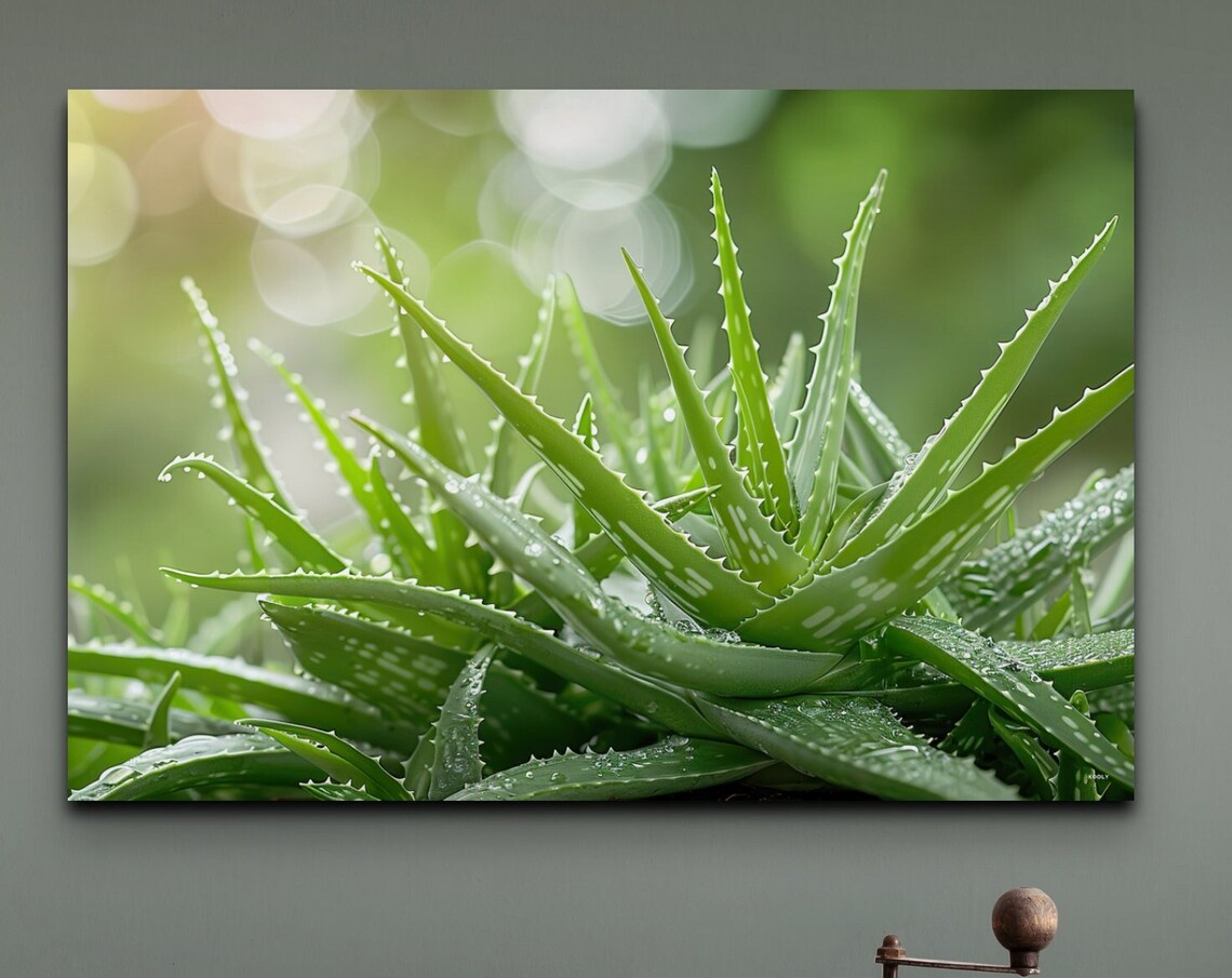 Aloe Vera Botanical Decor, Garden Room Art Print