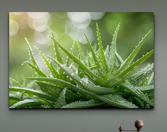 Aloe Vera Botanical Decor, Garden Room Art Print