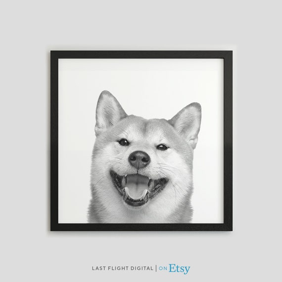 Shiba Inu Dog Poster, Kids Room Dog Art Print