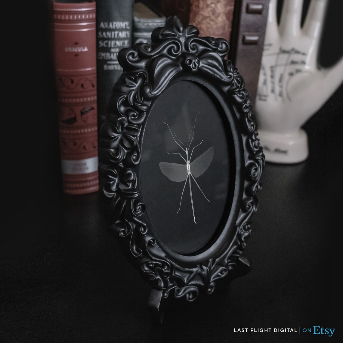 Stick Insect X-Ray Photo, Gothic Bug Art Print - Image 4