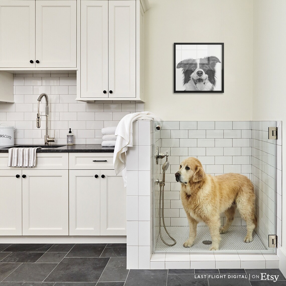 Border Collie Dog Poster, Kids Room Wall Art Print - Image 5