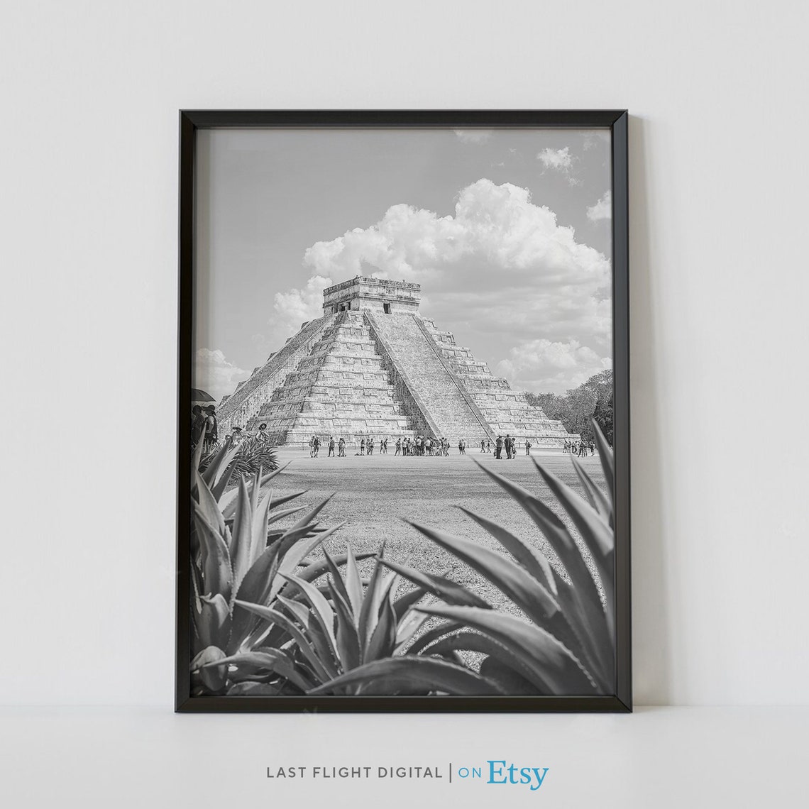 Mexico Chichen Itza El Castillo Pyramid Agave Black White Poster