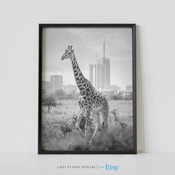 Nairobi Kenya Giraffe City Skyline Safari Black And White Photo Poster