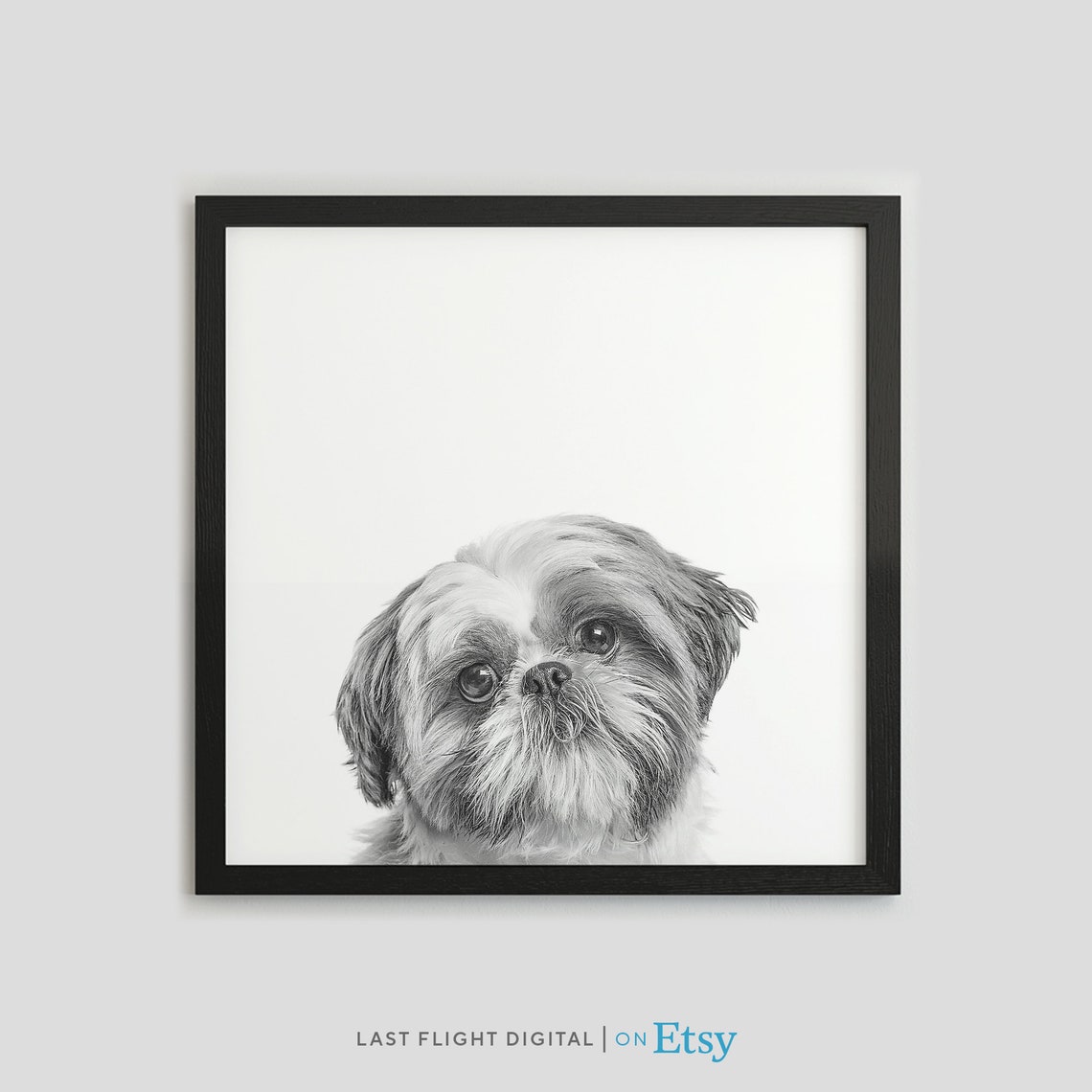 Dog Print Shih Tzu Dog Poster Puppy Print Puppy Poster Kids Room Black White Photo Nursery Shih Tzu Print Shih Tzu Poster