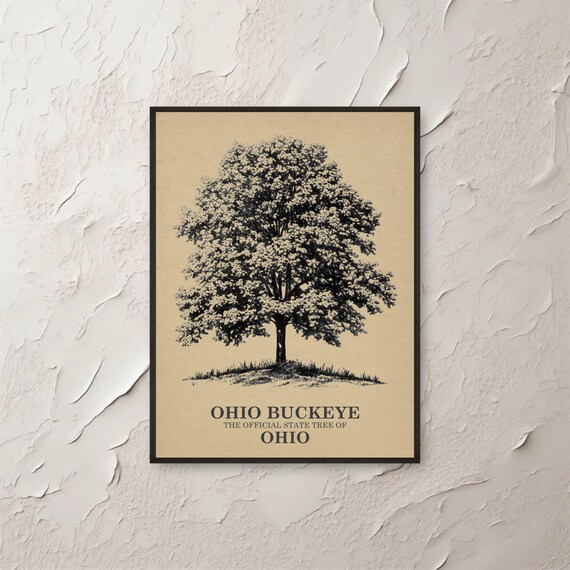 Ohio Buckeye Official State Tree Vintage Botanical Sketch Wall Art
