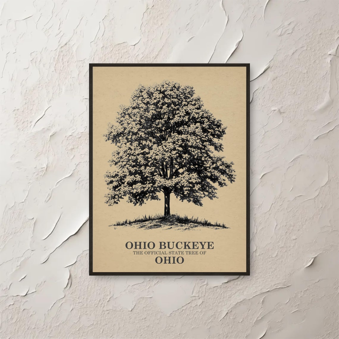 Ohio Buckeye Official State Tree Vintage Botanical Sketch Wall Art