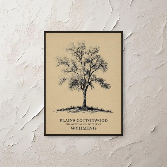 Plains Cottonwood Wyoming Official State Tree Botanical Sketch Poster