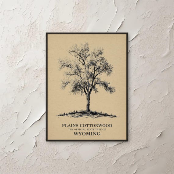 Plains Cottonwood Wyoming State Tree Wall Art Print Botanic Illustration Vintage Botanical Decor Poster