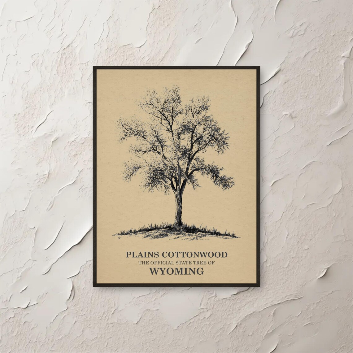Plains Cottonwood Wyoming State Tree Wall Art Print Botanic Illustration Vintage Botanical Decor Poster