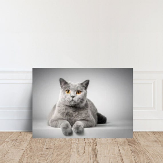 Grey Cat Art Print, Animal Wall Decor