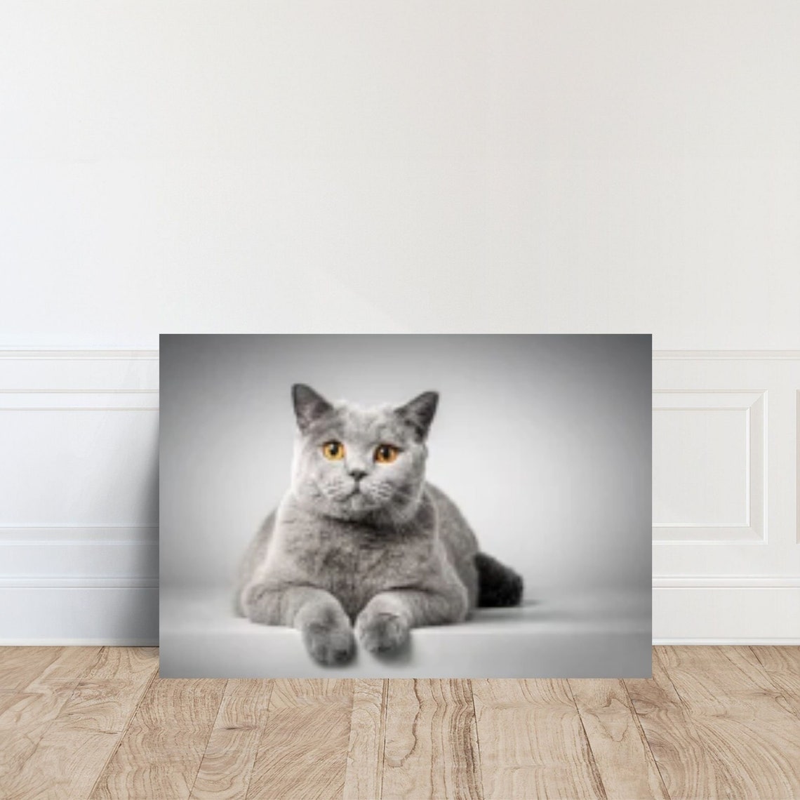 Grey Cat Art Print, Animal Wall Decor