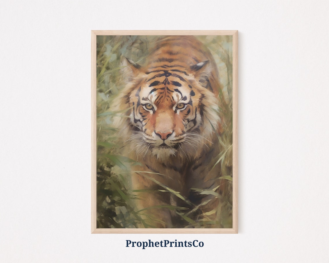 Tiger Walking Through Tall Grass Intense Gaze Wildlife Poster