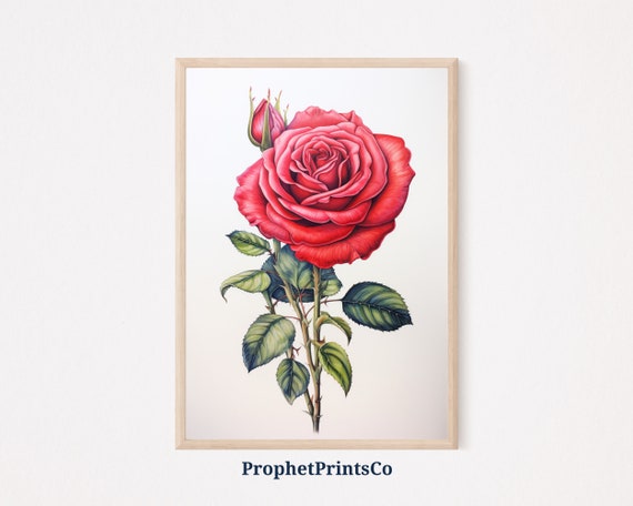 Vintage Rose Poster Print Botanical Wall Art Boho Floral Painting Cute Red Roses Home Dcor Wall Art